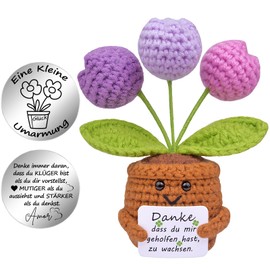 Mwmoeen Pocket Hug Positive Blume, Danke Geschenk Positive Kartoffe und Kleine Umarmung Glücksbringer, Kleines Dankeschön Geschenk für Freunde Kollegen und Famili