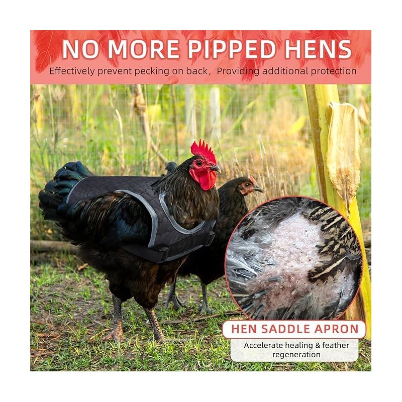 MYWSN Chicken Saddle for Hens Lightweight Chicken Apron & Back