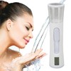 Double Headed Nano Facial Steamer Moisturizing Hydrating Face Sprayer With