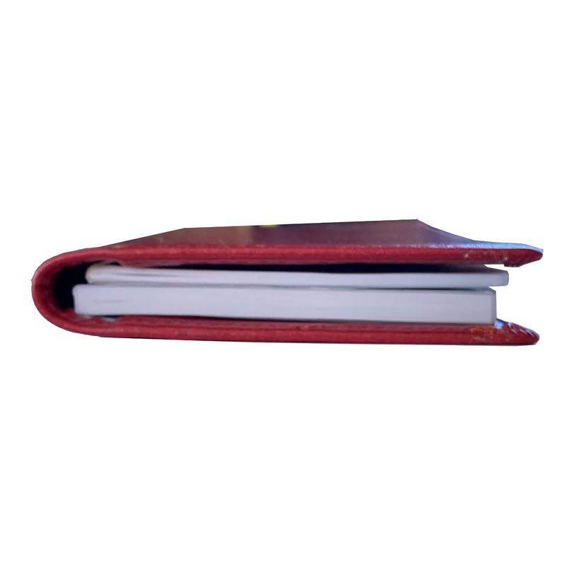Daigo C5117 Handy Pick, Large Size, Thick 1.1 inches (29