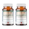 Forum Vita GastroMod Intestinal Flora Capsules, 24 g, 1180, 45