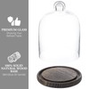 MyGift Clear Cloche Glass Dome, Display Bell Jar with Top