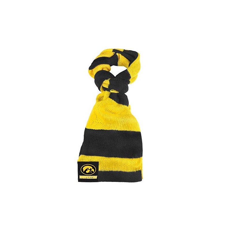 Iowa Colorblock Infinity Scarf