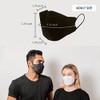 Good Day Black Disposable KF94 Face Mask, 4-Layer Filters, Made