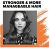 Toni & Guy Shampoo for Damaged Hair, 8.5 oz