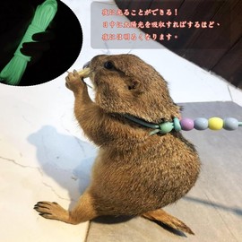 LYHMHAMY Reptile Lizard Harness and Leash Rabbit Harness, Fluorescent, Luminous, Flexible, Adjustable, Popular, Tortoise, Ferret, Small Animal, Gecko, Reptile Amphibian, Training Lead Harness (Pink)