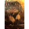 3-D Lenticular Wildlife Trading Card Set - Bear-Frog-Wolf
