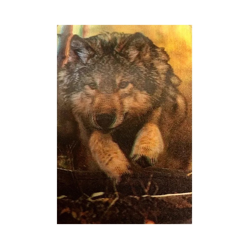3-D Lenticular Wildlife Trading Card Set - Bear-Frog-Wolf
