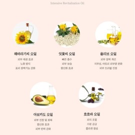 Kervu Intensive Revitalization Oil 50ml / 커뷰 인텐시브 리바이탈리제이션 오일 50ml
