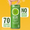 IZZE Sparkling Water Juice Beverage Blend, Apple, No Sugar Added,