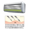 FEATER F-System Samurai Edge Replacement Blades, 10 Pieces, Made in