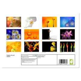 Digital art and nature (Monthly Wall Calendar 2025 11.7" x 16.5" (open)), CALVENDO 14 Month Calendar