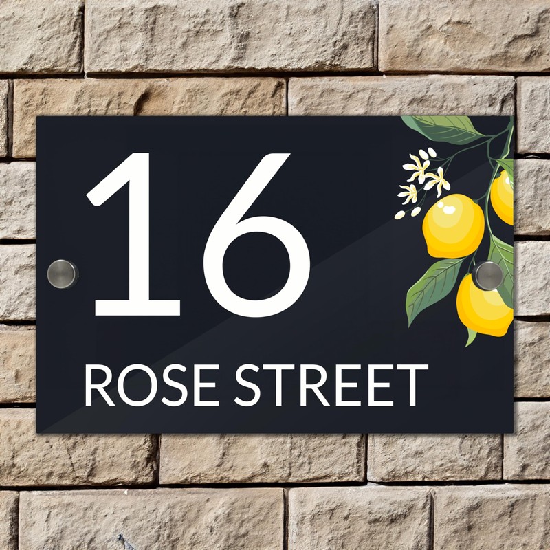Badgemaster Modern Anthracite House Number Sign Plaque Stainless Steel Standoffs