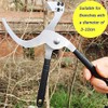 SagaSave Ring Paring Pliers Fruit Tree Ring Cutter Garden Wire