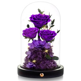 Agrul Flowers Roses Gifts for Mom,Forever Real Preserved Roses in Glass Dome,Mothers Day for Wife Girlfriend Women Best Friend Grandma/Purple Rose