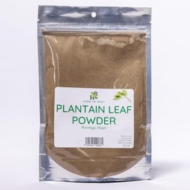 Herb To Body Plantain Leaf Powder | Plantago Major | Wildcrafted | 4oz