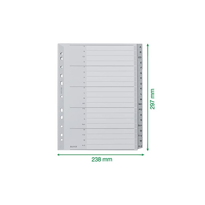 Leitz Index for A4, Cardboard Cover Sheet and 20 Plastic