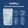 Wellthy Glicinato de Magnesio 220 Cápsulas 432mg. 100 Natural, Alta