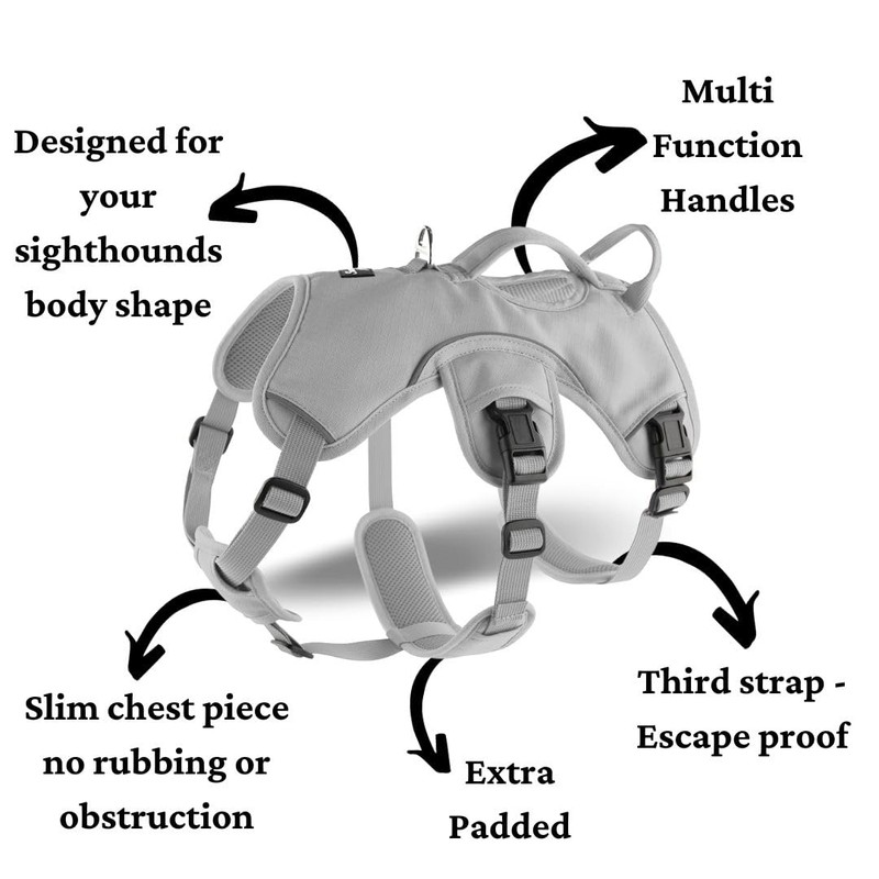 Snootiful Hound Sighthound Harness for Greyhounds, Whippets and Lurchers -