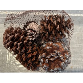 Ashland 5 Bags Ashland Pinecones Christmas Holiday Decorations 7 Per Bag Glitter Frosted