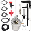 796122 Carburetor for Replacing Briggs Stratton 794593 20A113 20A114 20A412