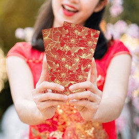30 PCS Chinese New Year Red Envelopes, 3.5 x 6.7 Inch Money Envelopes
