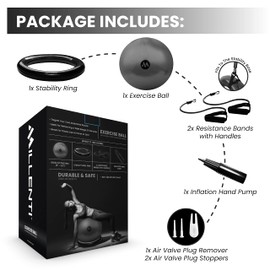 Millenti Exercise Ball Chair - Yoga Ball Chair Stability Base Ring Kit & Fitness Resistance Bands for Home, Gym Bundle, Pilates Ball, Office Chair, Birthing Ball - Workout Chart, YB2LGY