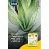 Scholl EXPERTCARE intensiv pflegende Fußmaske mit Aloe Vera – Feuchtigkeitsspendende