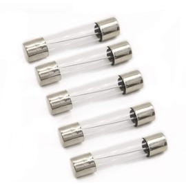 (5 Pack) EXP20AG Microwave Line Fuse Replaces 5304488359, AP5648907, PS5136235 5304464087