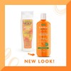Cantu Shea Butter for Natural Hair shampoo and conditioner, sulphate