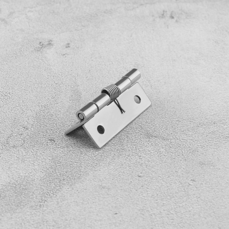 Create idea 4PCS Self-Opening Spring Hinges 304 Stainless Steel Self-Closing