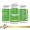 Lily Green | Magnesium Taurate 2000mg per Serving | 90
