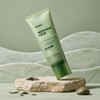 KUNDAL/Matcha/Anne/Kale/Sea Salt/Scalp/Scaling/Shampoo/200g