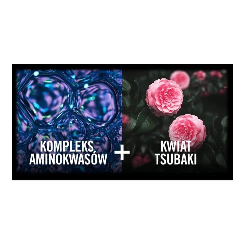 Syoss Color Protect Conditioner 440 ml