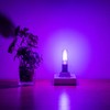 Beonllay Small Base Purple Light Bulb E12 Colored Chandelier Light