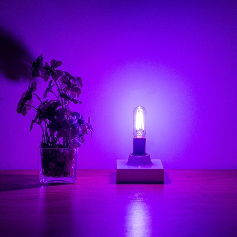Beonllay Small Base Purple Light Bulb E12 Colored Chandelier Light