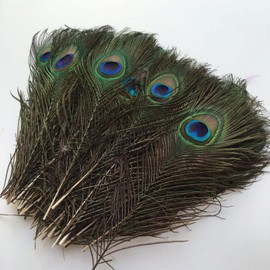 JDCMEI 20 Pieces Natural Peacock Feathers, Beautiful Peacock Feathers for Crafts, Peacock Feathers, Long 25-30 cm, Peacock Tail Feathers, Eye Feathers, Decorations for DIY Feather Clothes, Hat, Craft,