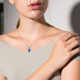 WINNICACA Women's Owl Necklace S925 Sterling Silver with Birthstone Pendant Cute Animals Jewellery Gifts for Women Girls Owl Lovers, Sterling Silver, Cubic Zirconia