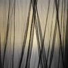 Black Bed Canopy with Star Light Round Hoop Mosquito Net