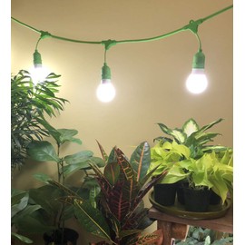 Miracle LED Hydroponics LED Indoor Grow Light Kit - Includes 3 Absolute Daylight Full Spectrum 100W Replacement Grow Light Bulbs & 1 3-Socket Corded Fixture with SproutMatic Timer (2-Pack)