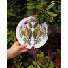 RHS The Royal Horticultural Society Cross Stitch Kit, Melon Design,