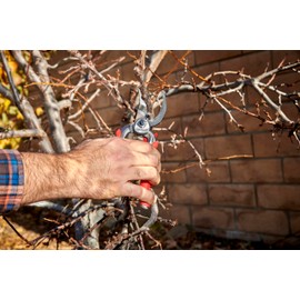 Corona BP 7100D Forged Steel DualCUT Bypass Hand Pruner - 1 inch Cut Capacity Stem and Branch Garden Shears, Red