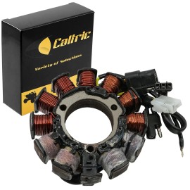 Celox Stator for Arctic Cat Mountain Cat 600 900 2001-2004 / Mountain Cat 500 EFI 2001