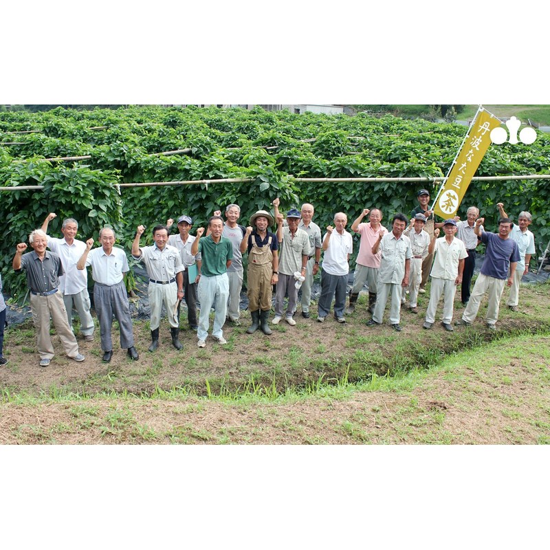 丹波 Beans Brown, Supplements 180 Grain Set A