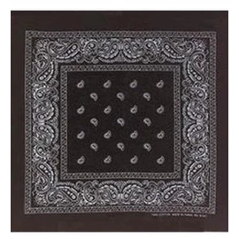 Black Bandana - Paisley