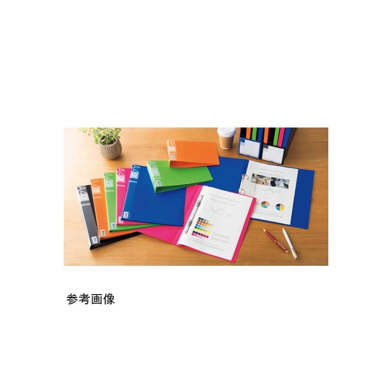 Lion Office Equipment PP Flat File Minano Black F-51M
