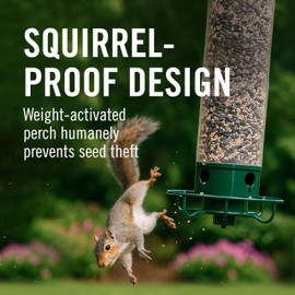 Droll Yankees Squirrel Proof Bird Feeders for Outdoors - YF-M - Flipper, Collapsible Perches, 5-Pound Seed Capacity, Green