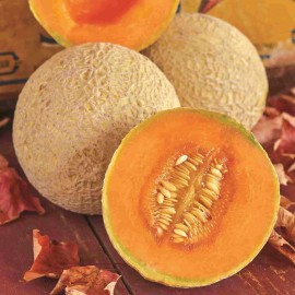 Hearts Of Gold Cantaloupe Seeds | Organic | NON-GMO | Heirloom | Best Seller