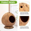 Yeqqzq Coconut Hut Hamster House Bed, Coconut Shell House for