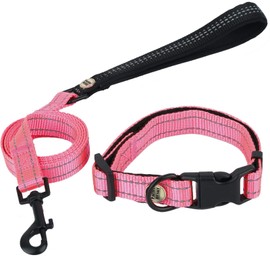 Pacific Husky Dog Collar & Leash Set - Adjustable Nylon Collar with Matching Leash - Reflective Straps - 5ft Long - 360 Rotating Metal Hook - Gift Combo (S, Pink)